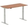 NEXT DAY InterAct Sit-Stand Rectangular Desks